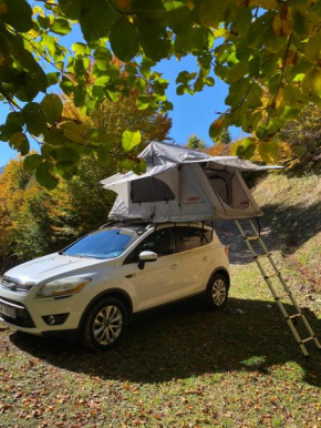 ALB Car Camping
